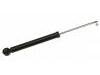 减振器 Shock Absorber:1T0 513 029 L
